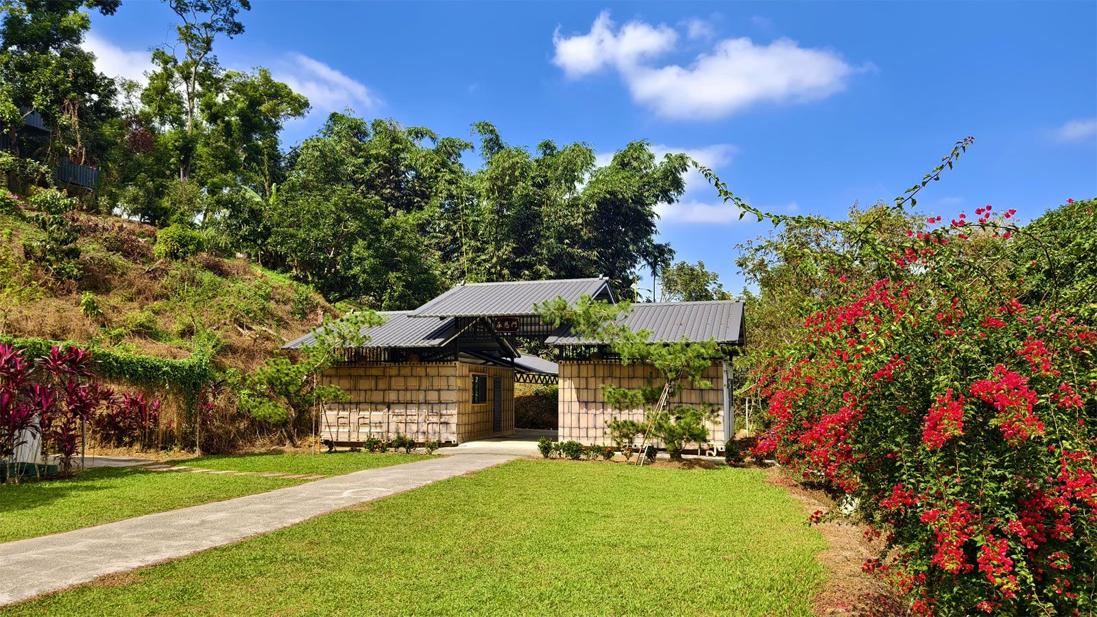 橄欖園森林度假民宿 圖片